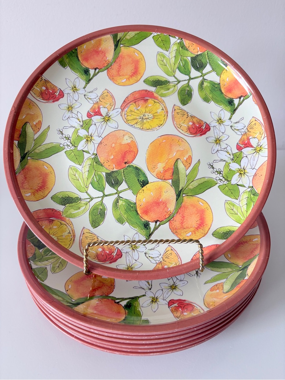 Lillian August Home Melamine Dinner Plates Sweet Oranges Pattern Set of 8